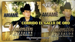 Corrido El Gallo De Oro  Valentin Elizalde Disco Oficial AMAME [upl. by Enimrej973]