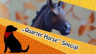 SONDERMODELL Quarter Horse Hengst 2015 HD [upl. by Winters]