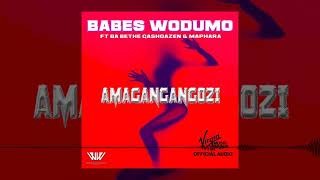 Babes Wodumo  Amagangangozi  Official Audio [upl. by Leelah]