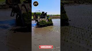 Paddy cultivation machine shorts viral kubota agriculture khetibadi [upl. by Azeria]