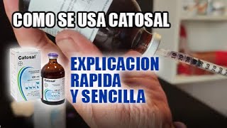 Como se usa catosal en gallos dosis catosal canarios aves pajaros gallinas gallos [upl. by Haleemak]