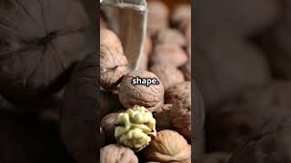 Benefits of Walnuts Quick Snack Recipe [upl. by Mcclimans]