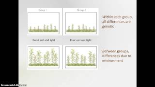 Heritability [upl. by Oluap]