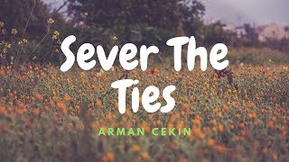 Arman Cekin  Sever The Ties  Lyrics  ft Esther Sparkes [upl. by Rufus]