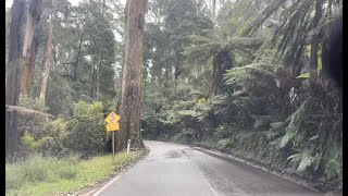 Come along for a cruise to Dandenong Mountain [upl. by Beach710]