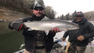 Quinault and Siletz Rivers Broodstock Steelhead [upl. by Foy]