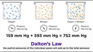 Daltons Law and Partial Pressures [upl. by Norry]