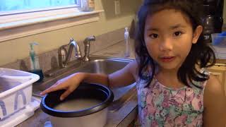 How to cook rice using Professional Series Rice Cooker cooks 12 cups of rice [upl. by Alym104]