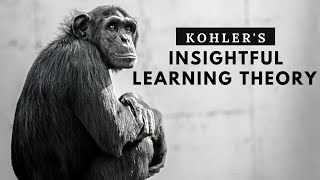 Wolfgang Kohler theory of insightful learning  cognitive theory [upl. by Adnorahs840]