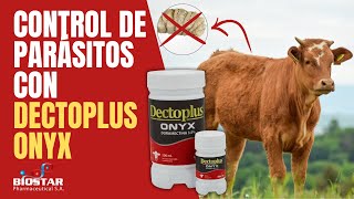 CONTROL ESTRATÉGICO DE PARÁSITOS CON DECTOPLUS ONYX [upl. by Yttocs]