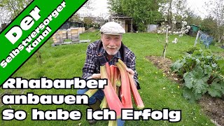 Rhabarber Doku So habe ich Erfolg [upl. by Wiles]