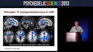 The BeckleyImperial Psychedelic Research Program  David Nutt [upl. by Ykcin]