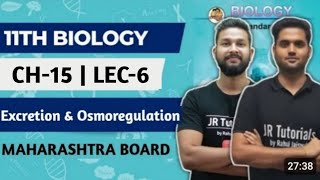 11th Biology  Chapter 15  Excretion amp Osmoregulation  Lecture 6  Maharashtra Board [upl. by Ulphiah346]