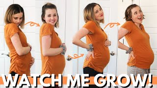 WEEK BY WEEK PREGNANCY PROGRESSION 4  20 WEEKS  1st Half of Pregnancy Belly Progression [upl. by Ferdie411]