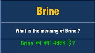 Brine meaning in Hindi  Brine ka kya matlab hota hai  daily use English words [upl. by Llednol471]