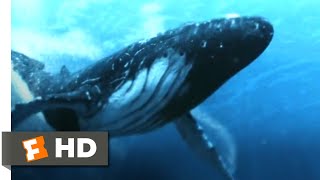 5Headed Shark Attack 2017  Humpback Whale vs 4Headed Shark Scene 310  Movieclips [upl. by Eisdnyl660]