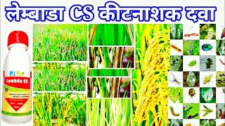 lambda cyhalothrin 49 cs कीटनाशक दवा  dhan ki kheti [upl. by Fessuoy]