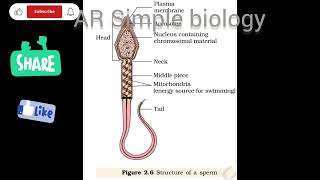 2nd pu biology important diagrams for midterm [upl. by Dich]