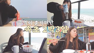 바다 보며 먹는 모닝술은 꿀맛이더라🌊🍻 😋혼자 떠난 뚜벅이 속초여행 브이로그항아리물회88생선구이우리닭집 닭강정뱃머리 홍게무침 모녀가리비금강산옹심이막국수 [upl. by Shultz]