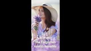 Lavender The Forgotten Health Benefits shorts [upl. by Koralie313]