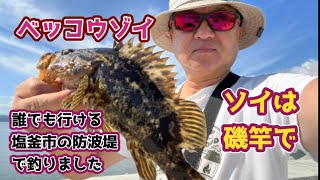 【宮城県の堤防釣り】塩釜市のある防波堤でベッコウゾイを長い磯竿で。 [upl. by Melentha]