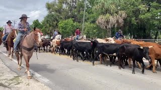 Immokalee Cattle Drive and Jamboree celebrates ranching and agricultural history [upl. by Tollman]