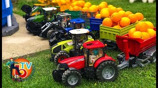 Learn Colors TRAKTOR BRUDER Case Claas Fendt New Holland with Baby ORANGE [upl. by Betthezul]