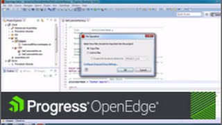 Getting Started with Progress Developer Studio for OpenEdge [upl. by Neelhtak]