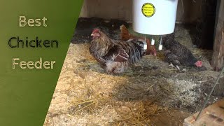 Mice and rat proof Chicken Feeder [upl. by Aylmer714]