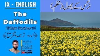 The Daffodils by William Wordsworth  I wandered lonely as a cloud  IX  English  Urdu  Hindi [upl. by Nolrev403]