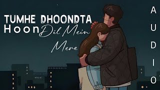 Tumhe Dhoondta Hoon Dil Mein Mere  Tri Music  Full Audio  Now Trending [upl. by Lenee]