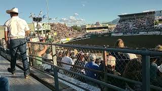 Reno Rodeo 2023 Wild Pony Racing [upl. by Mcclish]