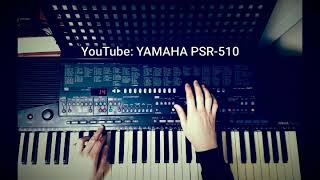 ЗАПИСЬ СТИЛЬ диско Ямаха 510 Style Disco on YAMAHA PSR510 [upl. by Eedissac27]