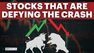 These Stocks Are Beating The Market Crash amp Trading In Green [upl. by Fisoi]