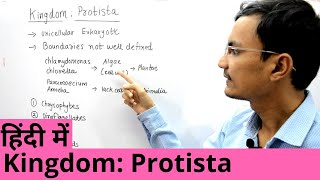 Kingdom Protista in Hindi [upl. by Aerahs59]