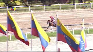 8va carrera  3ra Valida  Pintoresca  Hipódromo La Rinconada  Reunión 28  2024 [upl. by Ahto]