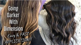 GOING DARKER  All Over Dark Color with DIMENSION  Easy amp FAST Application [upl. by Harvie198]