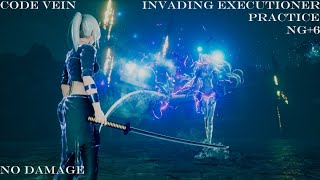 Code Vein  15 Invading Executioner No Damage  Practice Dark Mage Build NG6 [upl. by Ennoryt]