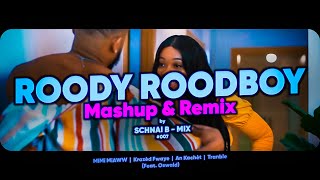 AFRO RABODAY REMIX  ROODY ROODBOY  MASHUP  by SCHNAI B  MIX [upl. by Watts934]