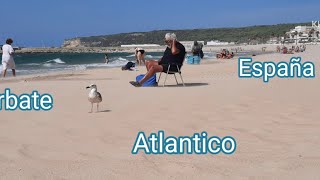 Vacaciones Atlantico Barbate España spain atlántico vacation жизньвиспании [upl. by Ferdinana]