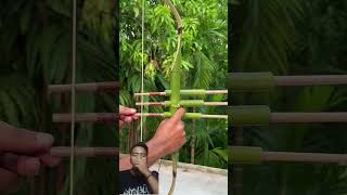 With bow and arrow bamboo creations ‼️ bamboo bow satisfying bowandarrow bowmaker bowmakers [upl. by Ayel]