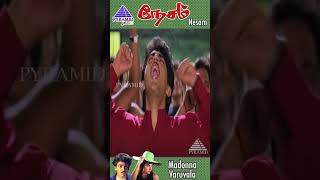 Madonna Varuvala Video Song  Nesam Tamil Movie Songs  Ajith Kumar  Maheswari  Deva  ytshorts [upl. by Yael354]