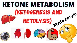 Ketone metabolismketogenesisketolysisRegulation of ketone metabolismmedicos tamizhatamil [upl. by Aelegna]