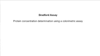 Bradford Assay Data Analysis [upl. by Mehala]