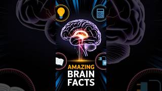 quotMindBlowing Facts About Your Brains Powerquot facts [upl. by Igiul]