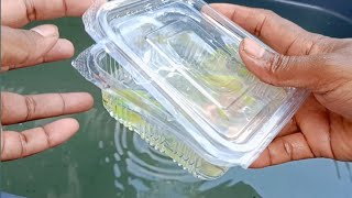 aquarium fish catching fish Verity colour fish rainbow colour fish tank unboxing fish fish video [upl. by Vonni]