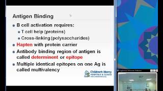 Antibodies and Antigens Ciaccio [upl. by Edra]