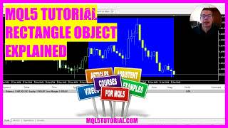 MQL5 TUTORIAL  Chart Object explained in 4 Minutes [upl. by Filahk328]