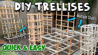 How to Make a Trellis Multiple Options and Skill Levels Full Tutorials amp Quick Walkthroughs [upl. by Euginimod]