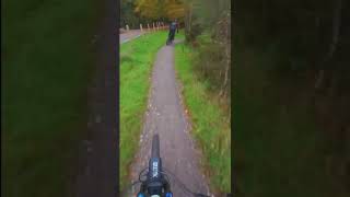 Haldon Red Trail POV mtb ytshort mountainbikejumps downhill mtbjump mountainbike [upl. by Eidoc]